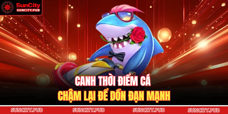 Bắn Cá H5 SUNCITY: Hướng Dẫn Trực Tuyến Săn Thưởng 2025 4 Canh thời điểm cá chậm lại để dồn đạn mạnh