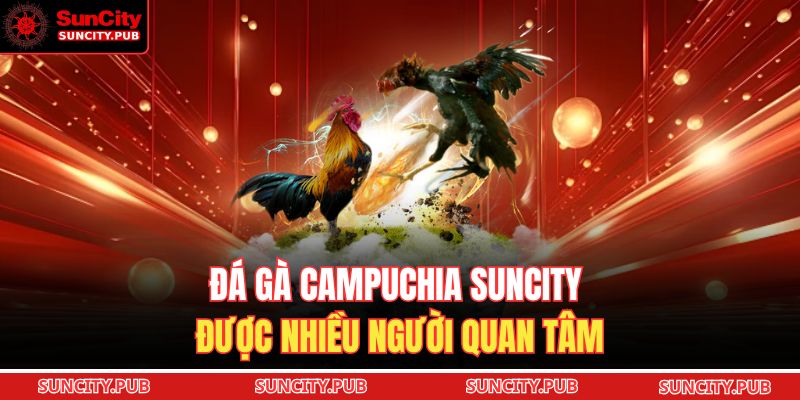 Đá gà Campuchia SUNCITY được nhiều người quan tâm
