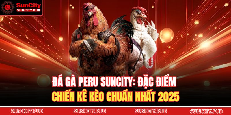Đá Gà Peru SUNCITY