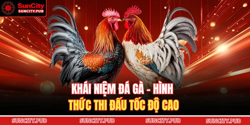 Khái niệm đá gà – hình thức thi đấu tốc độ cao
