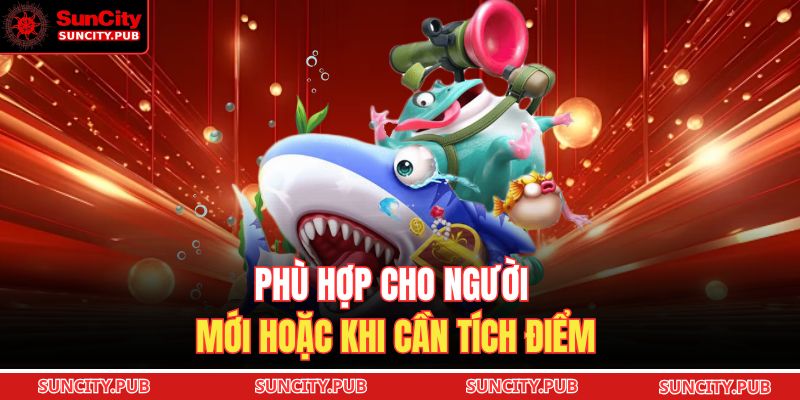 Phù hợp cho người mới hoặc khi cần tích điểm