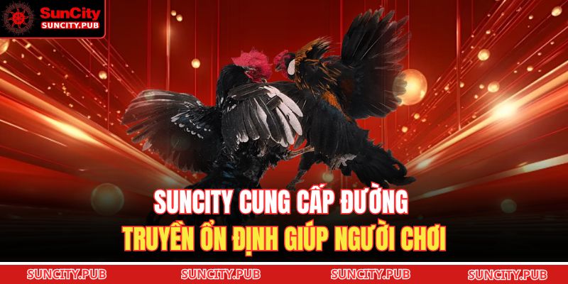 SUNCITY cung cấp đường truyền ổn định giúp người chơi