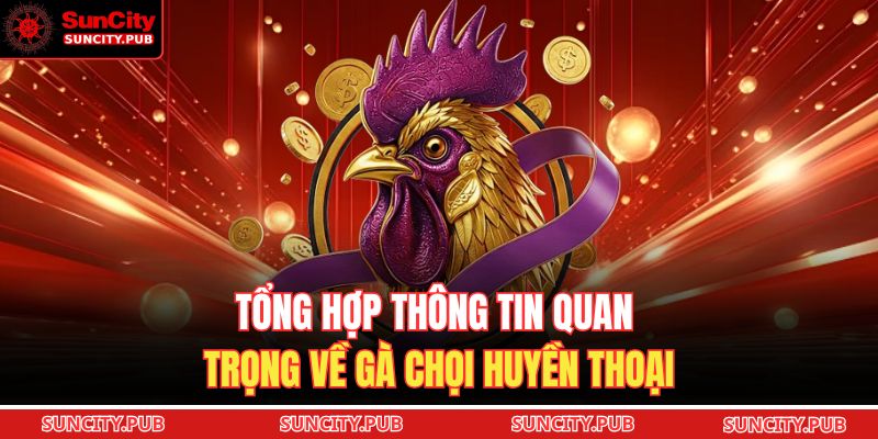 Đá Gà Malaysia SUNCITY